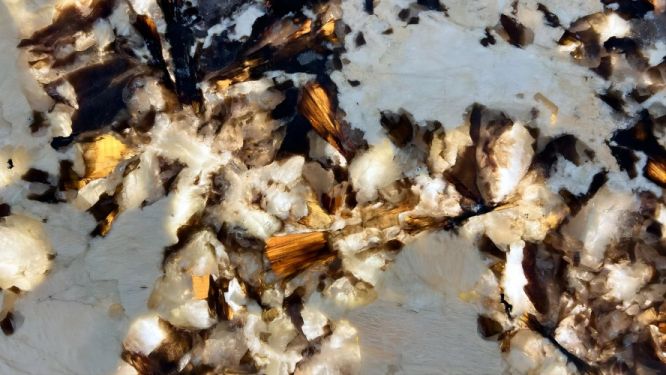 Pandora White Quartzite Slabs